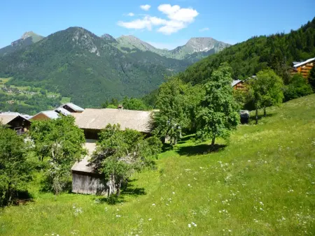Appartement 2 pièces Saint-Jean-d'Aulps, 100m des pistes - Photo 2