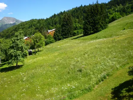 Appartement 2 pièces Saint-Jean-d'Aulps, 100m des pistes - Photo 3