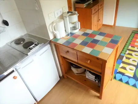 Appartement 2 pièces Saint-Jean-d'Aulps, 100m des pistes - Photo 8