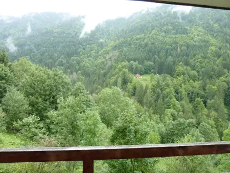 Studio 28m² balcon montagne, piscine, parking - Photo 3