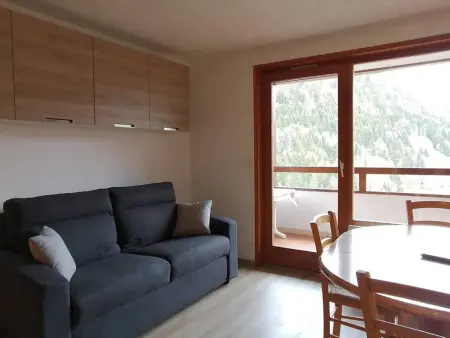 Studio 31 m² avec piscine privative à Saint-Jean-d'Aulps - Photo 3
