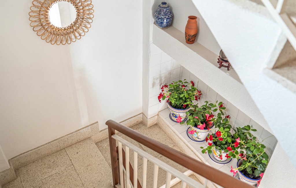 Appartement 6 personnes à San Javier - Photo 13