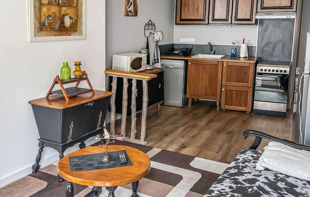Appartement dans manoir du 15e siècle à Pradelles - Photo 5
