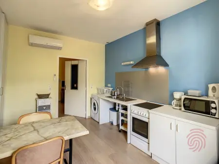 Location appartement à Lamalou les Bains, Charmant F2 climatisé avec terrasse, proche Thermes, parking privé, animaux acceptés