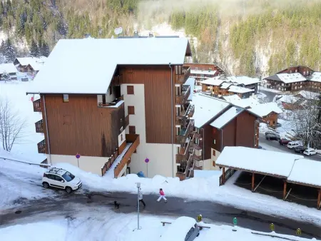 Appartement 2 pièces skis aux pieds à Saint-Jean-d'Aulps - Photo 18