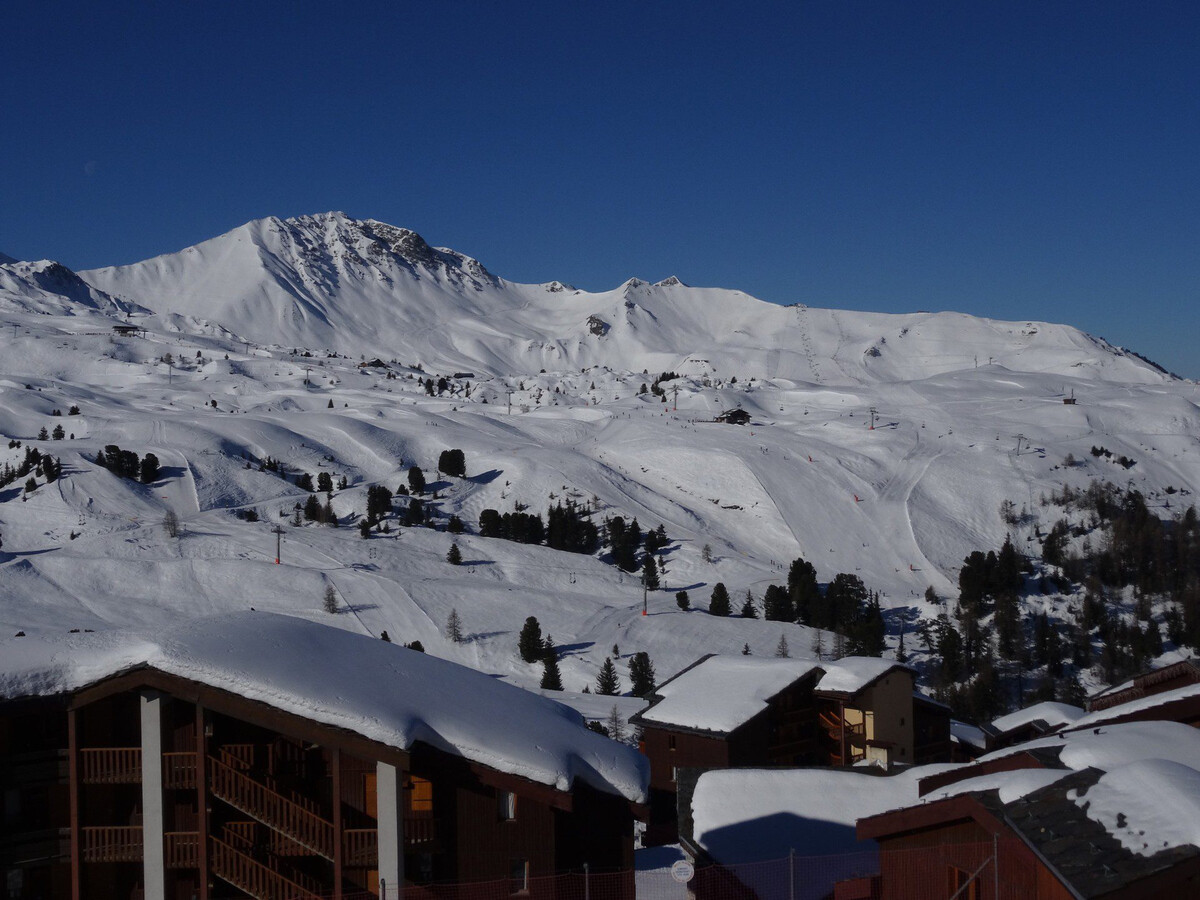 Appartement 2 pièces skis aux pieds à Belle Plagne - Photo 9