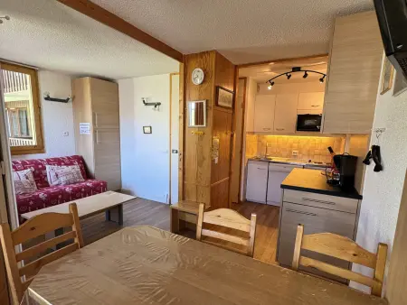 Location appartement à Belle Plagne, Studio skis aux pieds avec animaux admis