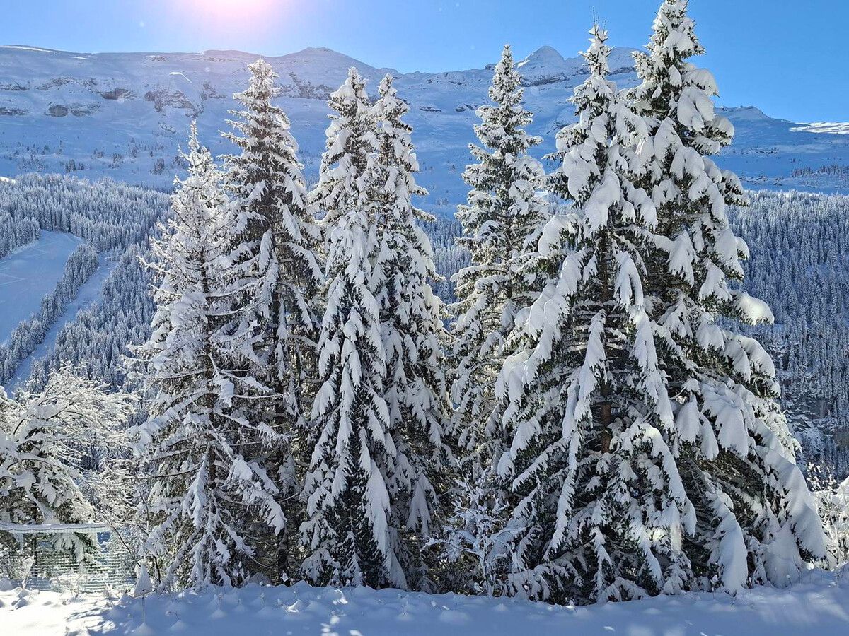Appartement 8 pers · Balcon · Rez-de-jardin · Flaine - Photo 11