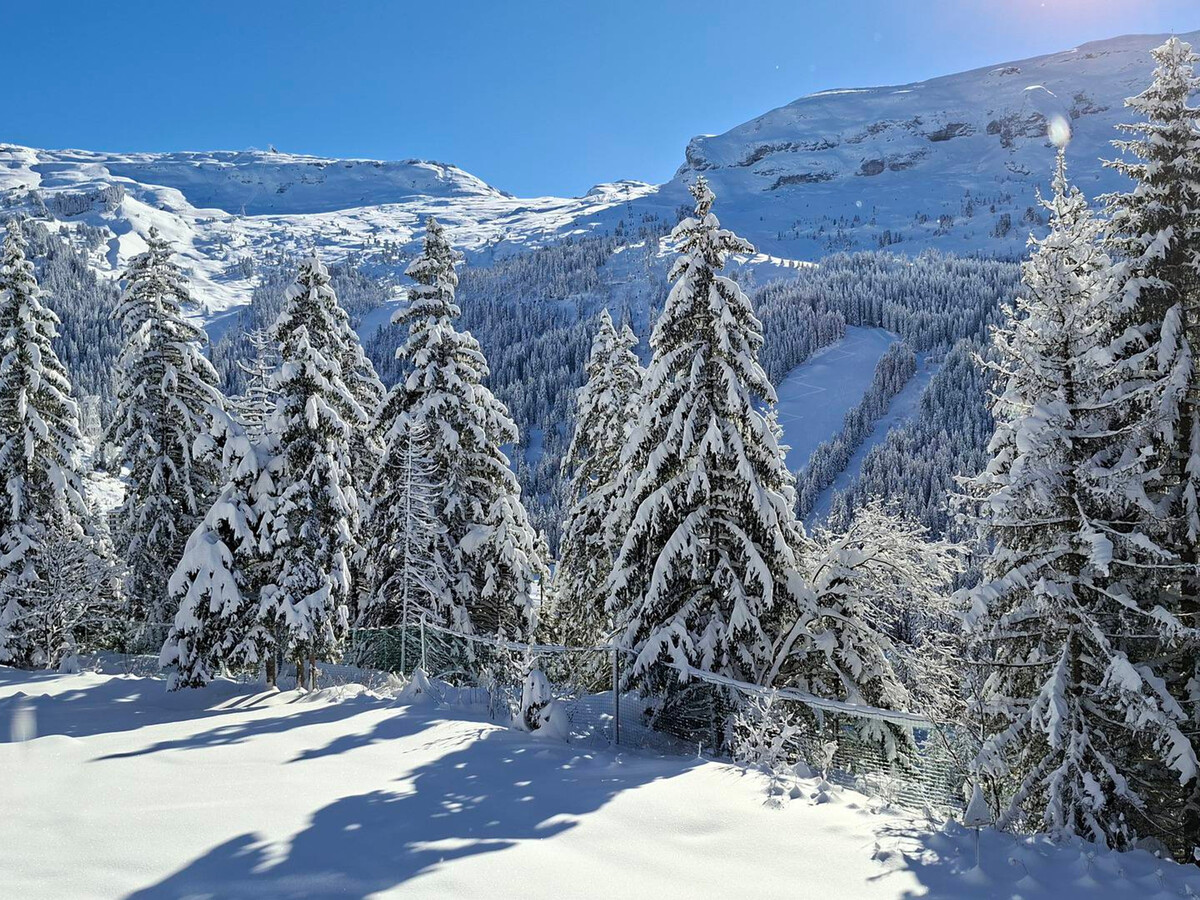 Appartement 8 pers · Balcon · Rez-de-jardin · Flaine - Photo 13