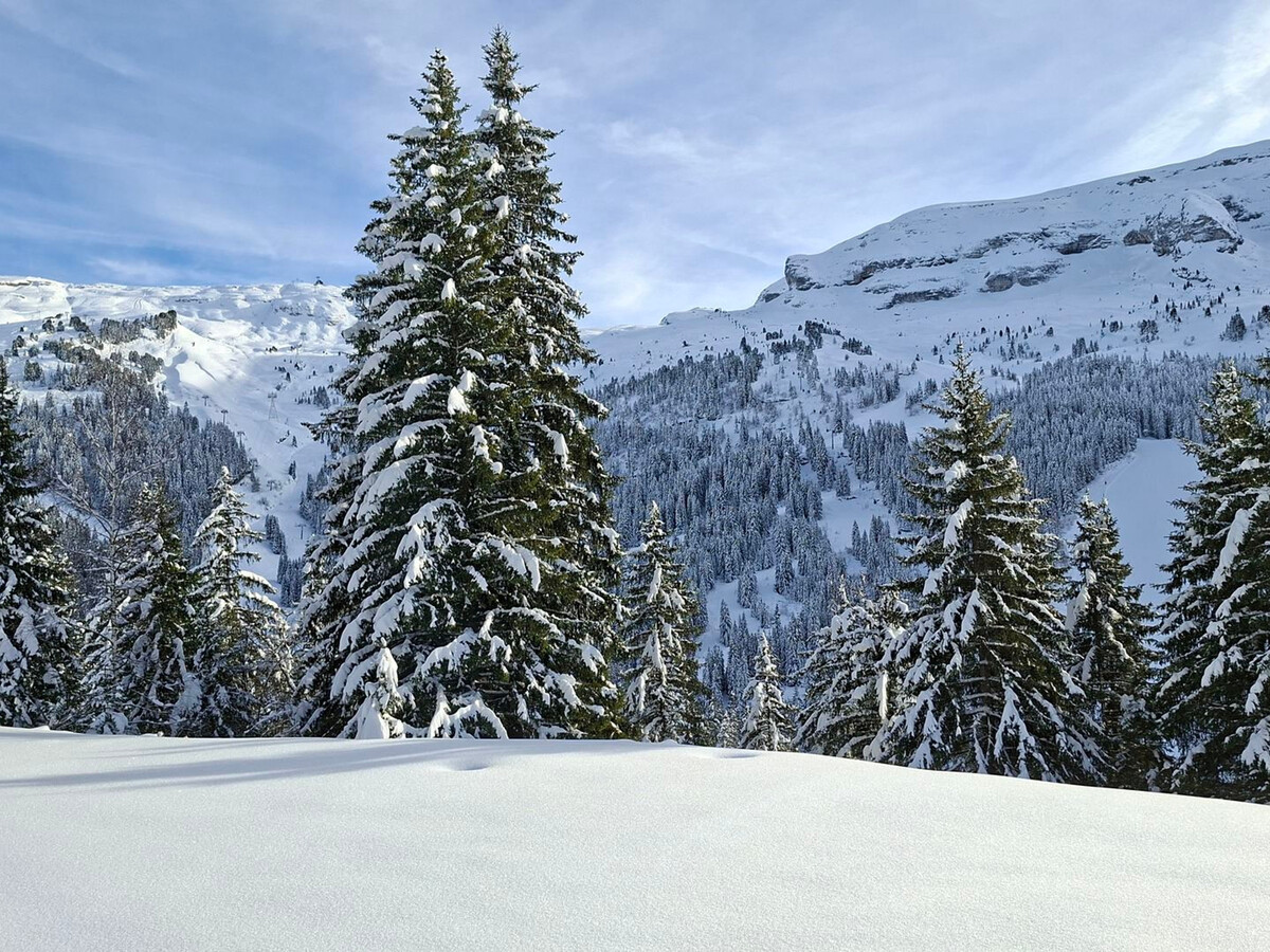 Studio rénové 25m² balcon sud à Flaine pour 4-5 personnes - Photo 12