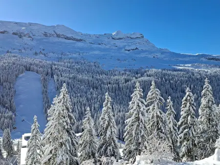 Studio rénové avec balcon Sud face aux pistes à Flaine : photo 10