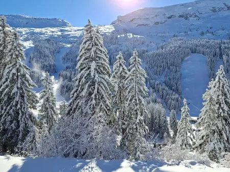 Studio rénové avec balcon Sud face aux pistes à Flaine : photo 11