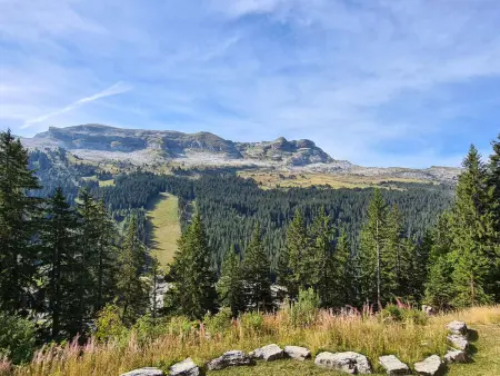 Studio rénové avec balcon Sud face aux pistes à Flaine : photo 12