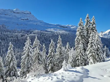 Studio rénové avec balcon Sud face aux pistes à Flaine : photo 13