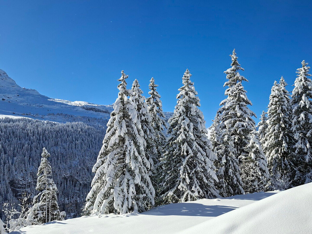 Appartement 4 pers. Flaine, balcon sud, 32 m² - Photo 10
