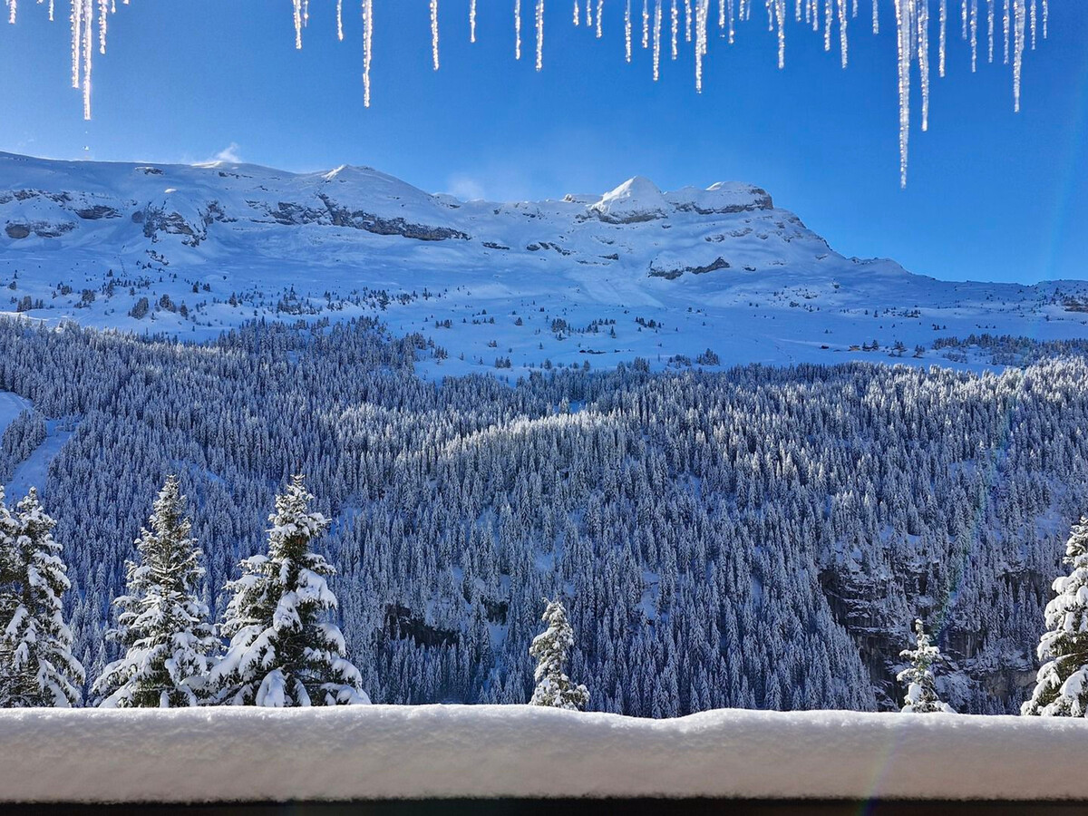 Appartement 3 pièces 6 pers • Balcon sud • Flaine - Photo 15