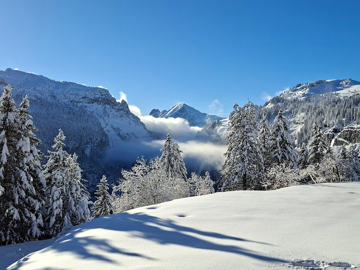 Studio cabine 25m² balcon sud à Flaine, 4 personnes - Photo 9