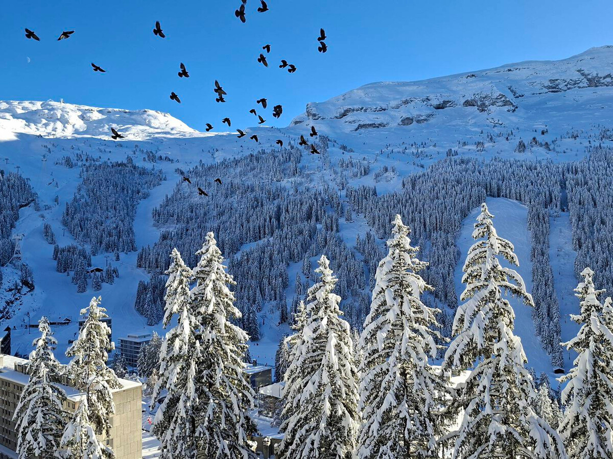 Studio cabine 25m² balcon sud à Flaine, 4 personnes - Photo 13