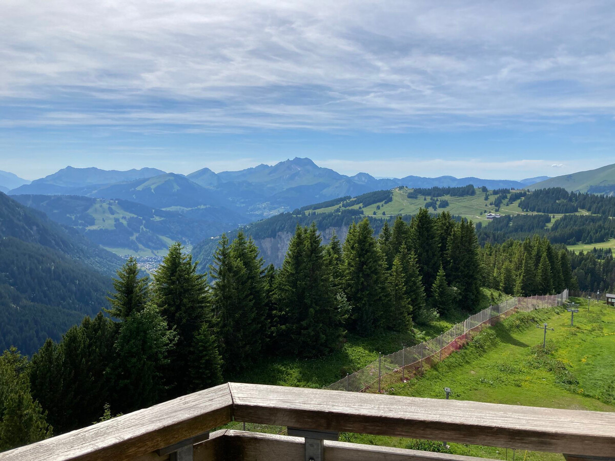 Appartement 2 pièces Avoriaz, balcon sud-ouest, 4 personnes - Photo 15