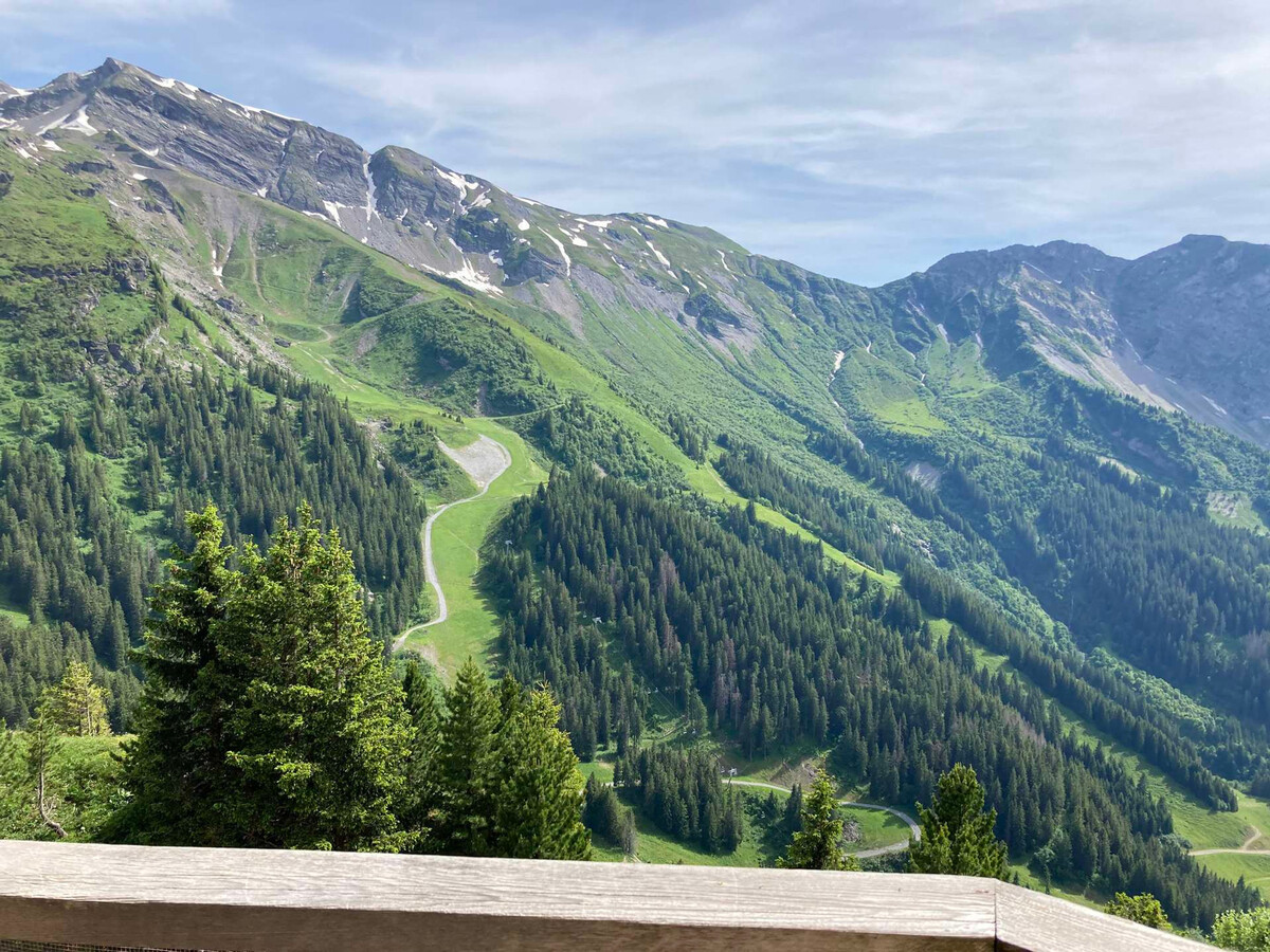 Appartement 2 pièces Avoriaz, balcon sud-ouest, 4 personnes - Photo 16