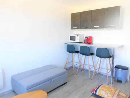 Studio 16m² rénové skis aux pieds, piscine chauffée : photo 3