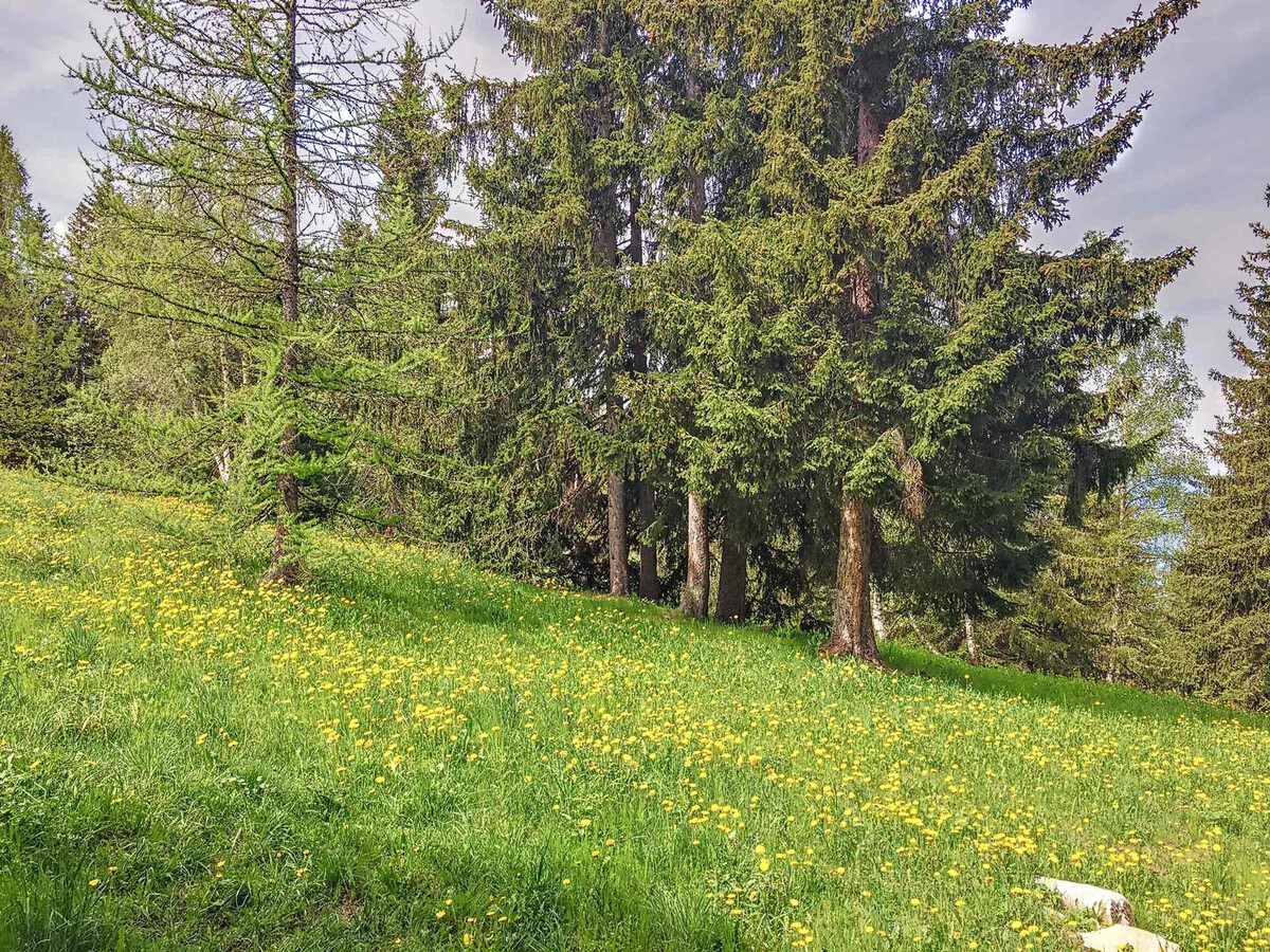 Studio mezzanine 28m² balcon sud-ouest, retour skis aux pieds - Photo 9