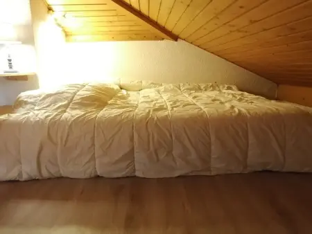 Duplex 1 pièce 44m² au centre de Saint-Jean-d'Aulps - Photo 6