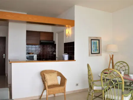 Appartement 4 pers, terrasse vue mer, Villeneuve-Loubet : photo 3