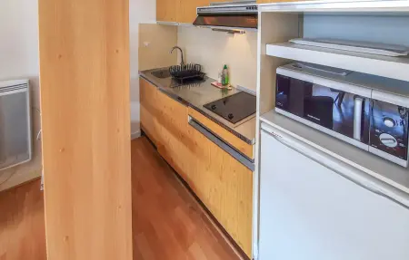 Appartement Batiment Iroise à 150 m de la plage : photo 6