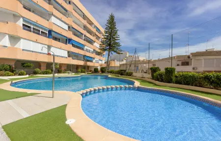 Appartement 1 chambre à Torrevieja, à 316 m de la plage : photo 9
