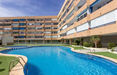 Appartement 1 chambre à Torrevieja, à 316 m de la plage : photo 10