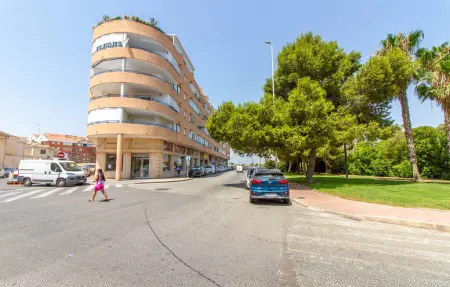 Appartement 1 chambre à Torrevieja, à 316 m de la plage : photo 11