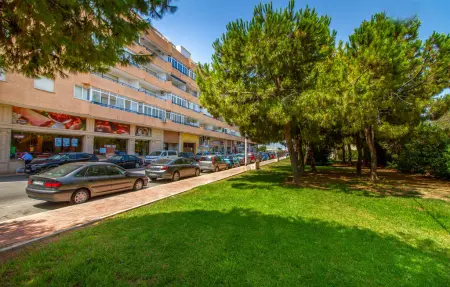 Appartement 1 chambre à Torrevieja, à 316 m de la plage : photo 12