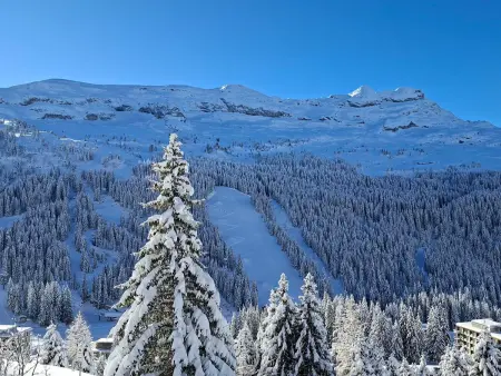Appartement 6 pers. avec terrasse Sud à Flaine : photo 13