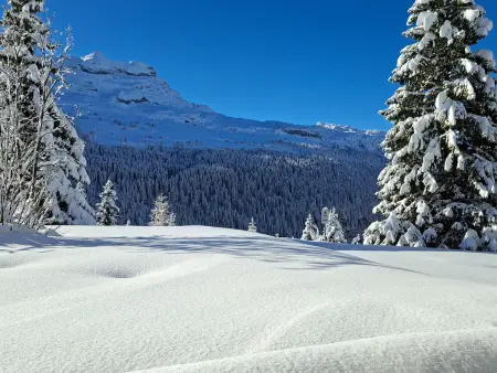 Appartement 6 pers. avec terrasse Sud à Flaine : photo 16