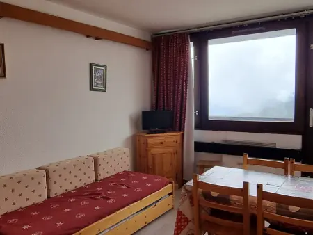 Location appartement à Plagne Aime 2000, Studio agréable aux pieds des pistes avec balcon et animaux tolérés