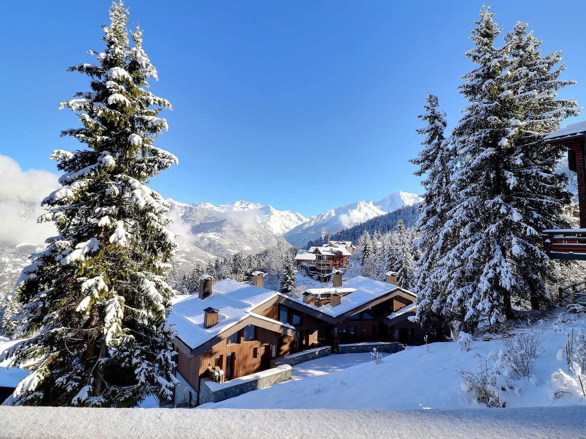 T2 skis aux pieds à La Tania, 4 personnes, balcon - Photo 8