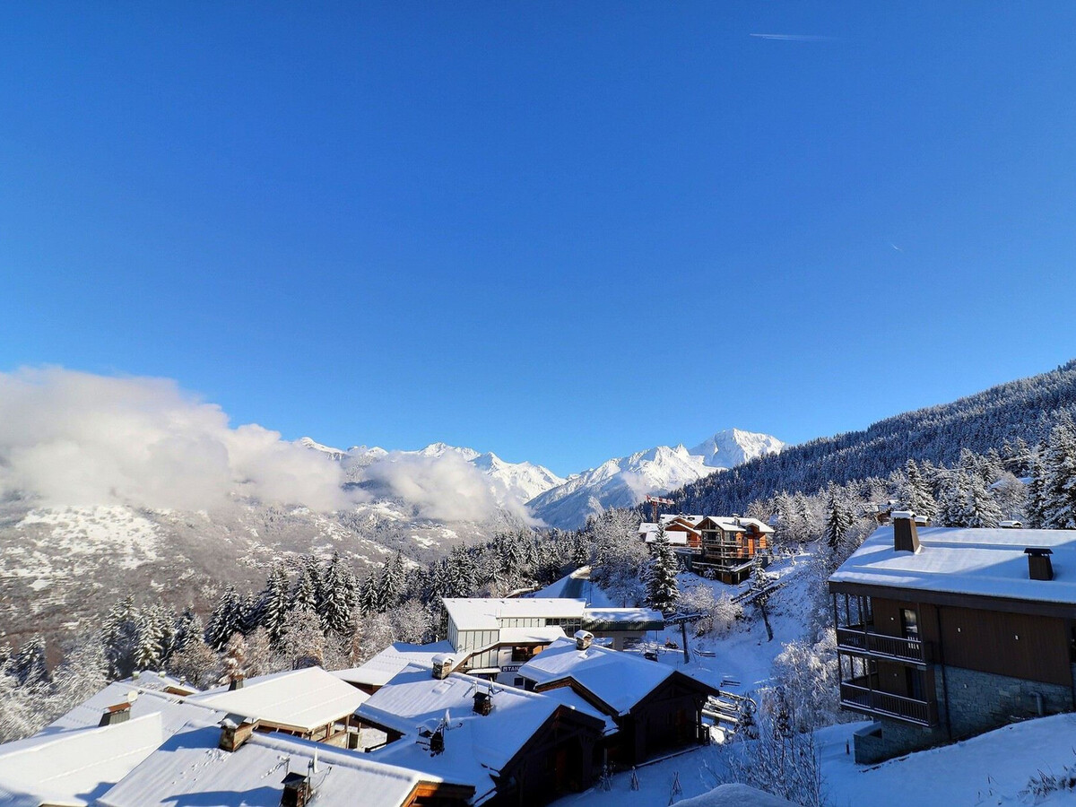 Appart 2P skis aux pieds, balcon, animaux - La Tania - Photo 8