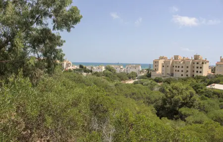 Appartement 3 chambres vue mer, terrasse et piscine à La Mata : photo 12