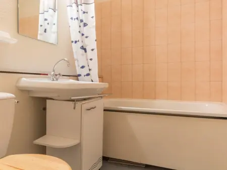 Studio 24m² aux pieds des pistes, balcon vue pistes : photo 8