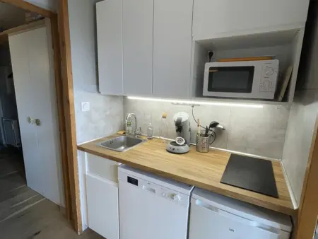 Studio 4 pers Alpe d'Huez, balcon Sud, navette pistes : photo 8