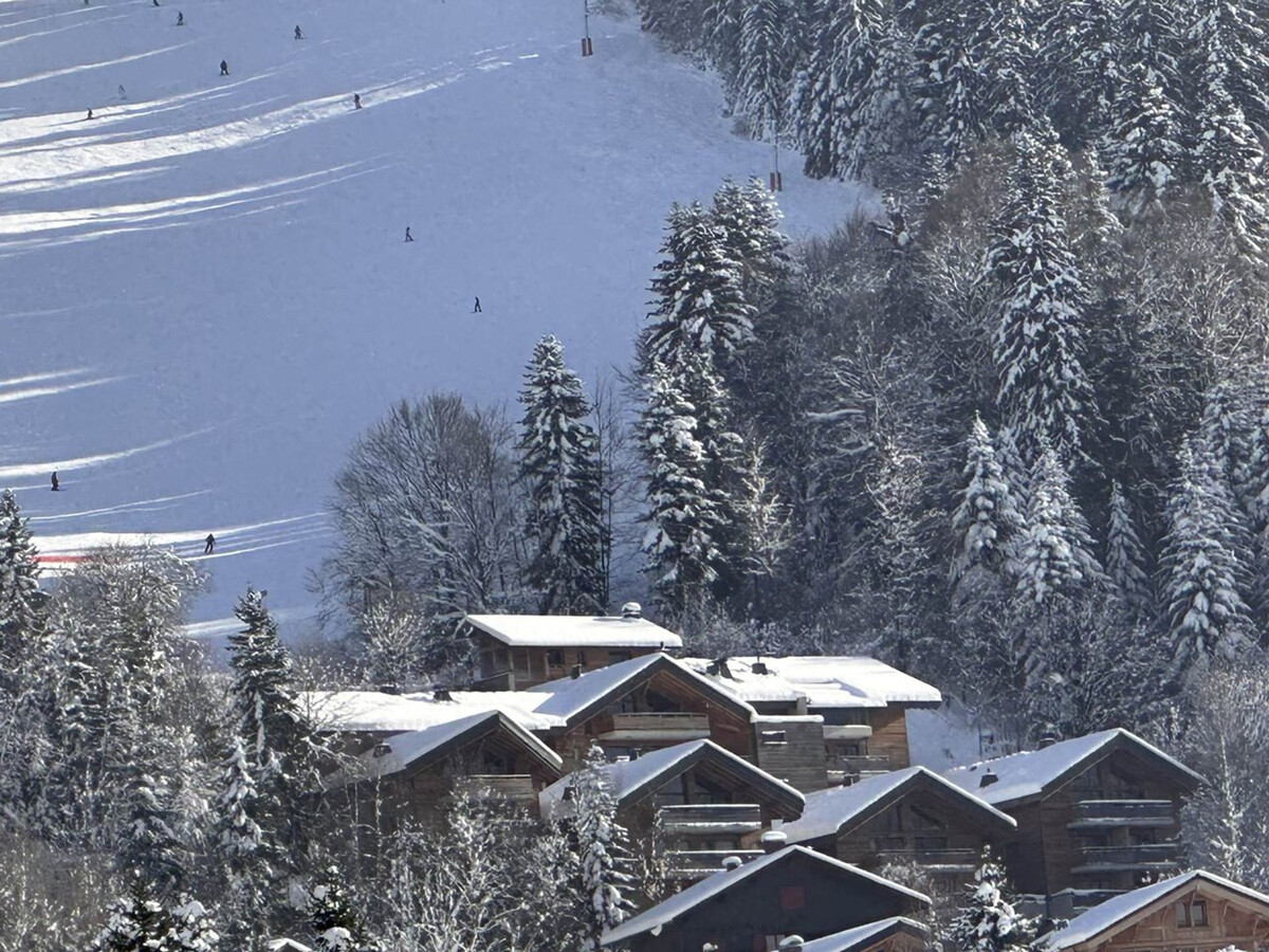 Appartement ski aux pieds, 55 m², terrasse sud - Photo 12
