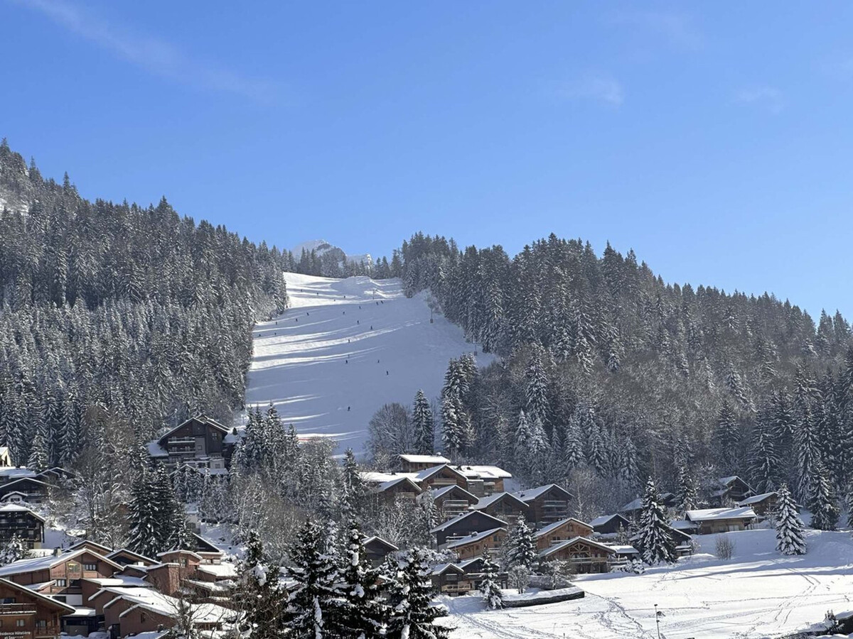 Appartement ski aux pieds, 55 m², terrasse sud - Photo 13