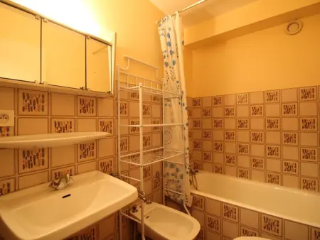 Studio 30 m² 4 pers aux Carroz, piste débutants : photo 3
