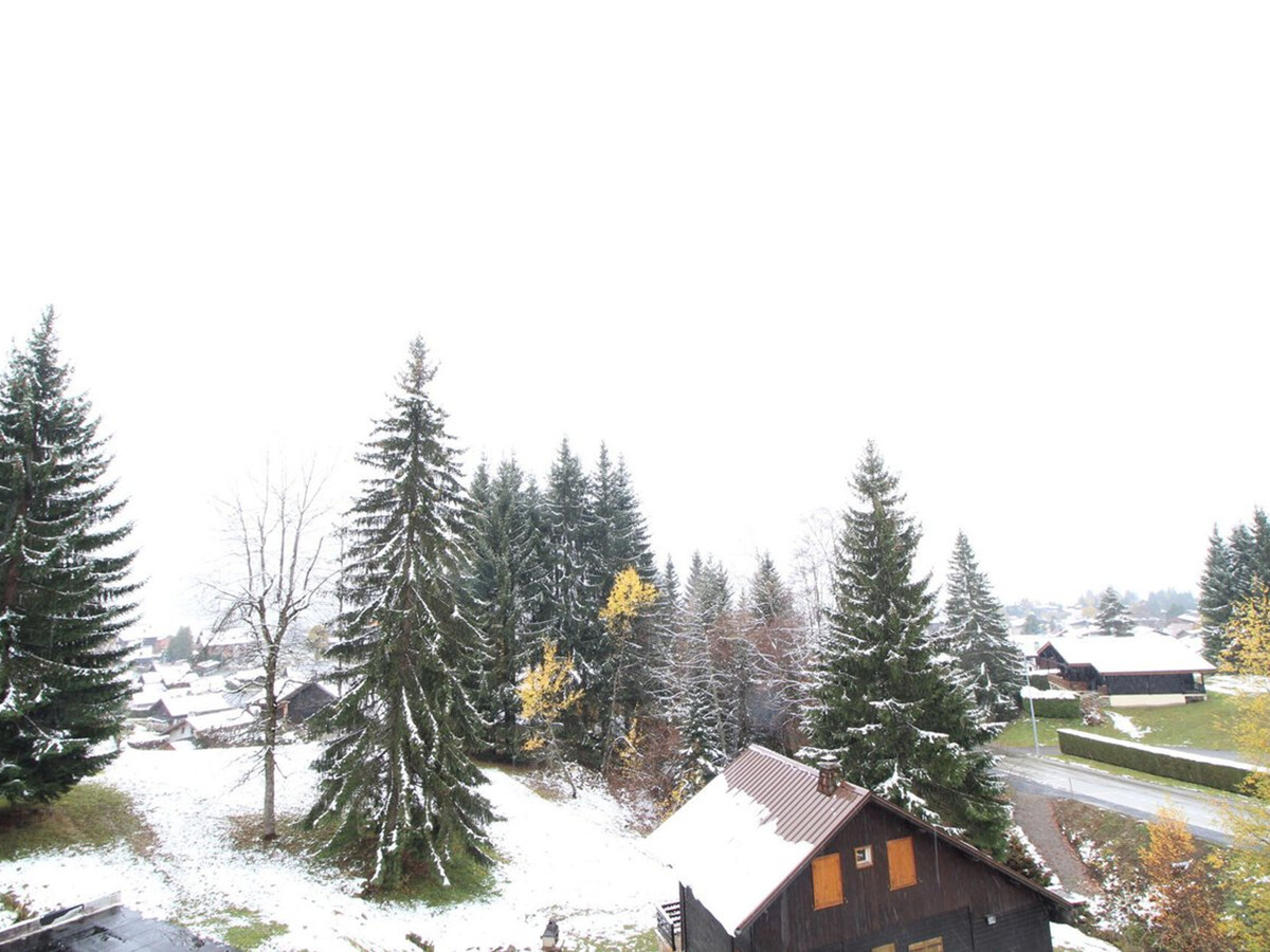 Studio 4 pers. au pied des pistes aux Carroz avec balcon - Photo 10