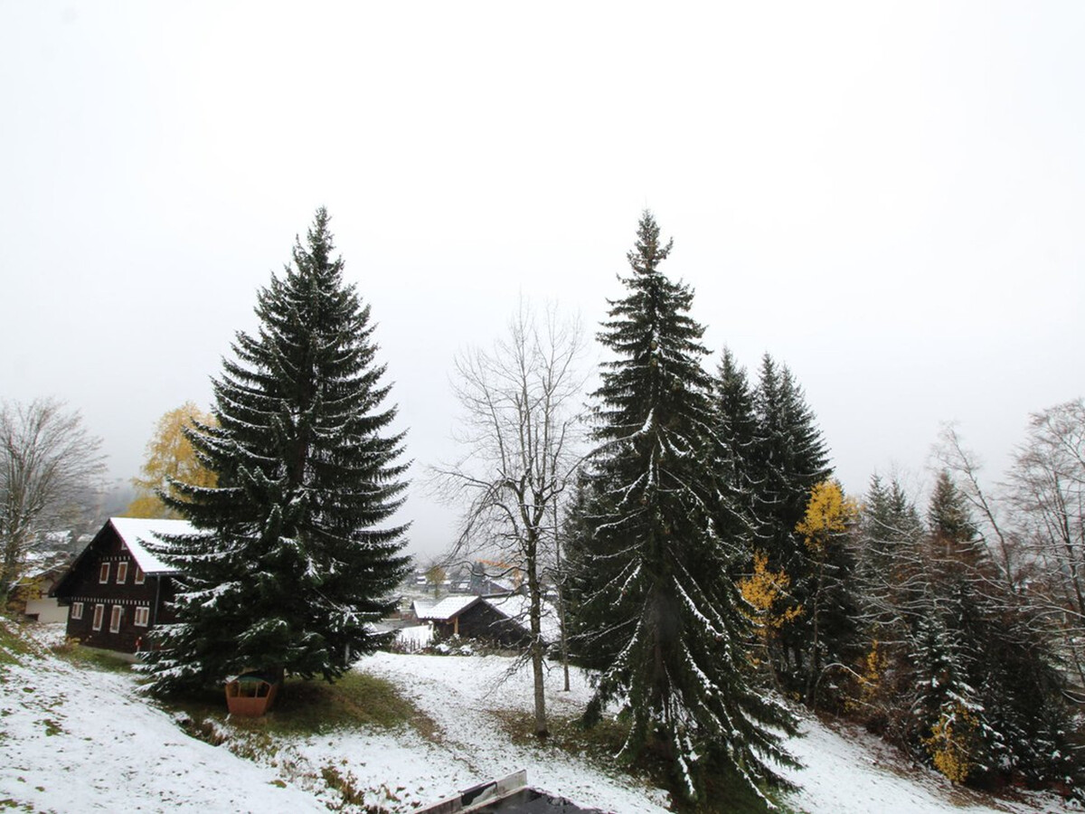 Studio 4 pers. balcon ouest aux Carroz, pied des pistes - Photo 10