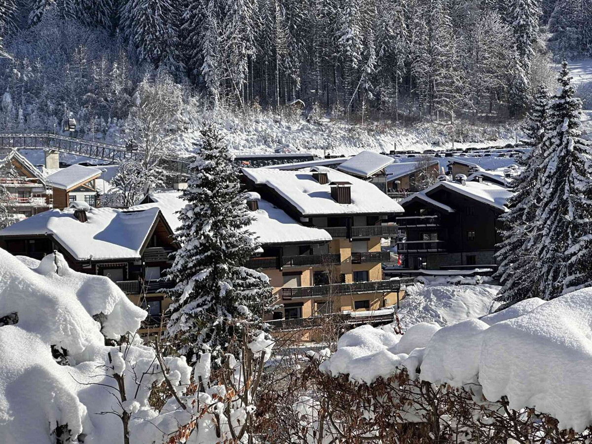 Studio 4 pers aux Carroz, balcon, pied des pistes - Photo 12
