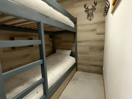 Appartement 2 pièces pied de piste aux Carroz, parking inclus : photo 4
