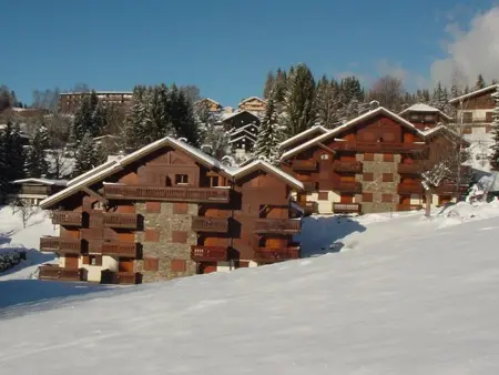 Appartement 2 pièces pied de piste aux Carroz, parking inclus : photo 11