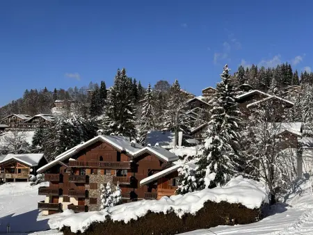 Appartement 2 pièces pied de piste aux Carroz, parking inclus : photo 13